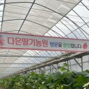 다은농원 이미지