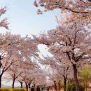 구미과학관화장실 이미지