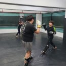 태평미트 이미지