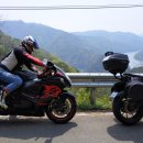 용궁식당 이미지