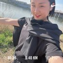 일상(엄마의 달래장/브롬톤 라이딩/효창공원 봉평메밀 etc)