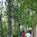 세일고등학교 이미지