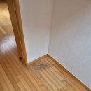 서초대로25길 76 | 냉장고누수로 썩은마루바닥 복원으로 해결