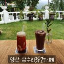 삼수리392 이미지