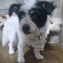 군산시-00817 이미지