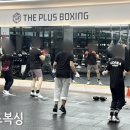 더플러스 복싱 | 즐거운 더플러스복싱!(경산복싱,대구복싱,시지복싱,복싱,다이어트,정통복싱,경산운동,키즈복싱,복싱자세...