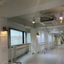 🩰 청주성인발레 한달째 후기 :📍클래식엘아카데미학원