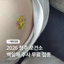 공주시보건소 | 청주 상당보건소 임산부 백일해 주사 무료 접종 후기(남편 포함)