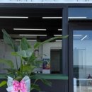 부산애견 이미지