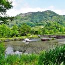 성불산자연휴양림 이미지