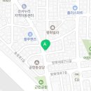 심쿵하개 애견미용 이미지