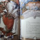 빨간모자생선 네이버블로그