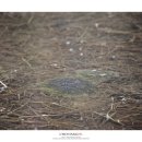 성덕초교 이미지