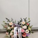 대구초재 네이버블로그