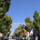 오동동 문화광장 및 공영주차장 이미지