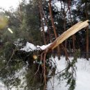 제비1리 이미지