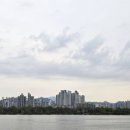 제주오전복 이미지