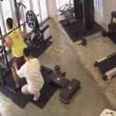 Swan It PT샵 이미지