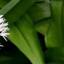 우리복지 이미지