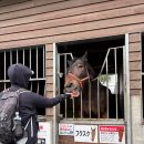 경마장가는길 이미지