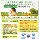 (주)한국환경과학기술연구원 - 2270 | (주)한국환경과학기술연구원