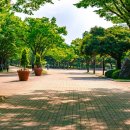 용의발광장 이미지