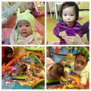 승희목장 이미지