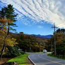 관음사앞 이미지