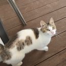 정선다온펜션 이미지