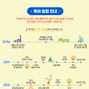 필리핀 보라카이 자유여행 3박5일 단독투어 후기