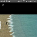 비바이크
