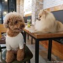 나침반 기획강좌 <감각> | [경기도 수원시 영통구] 수원박물관