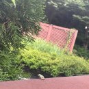 CLUB E·S 통영리조트 | [리조트] 통영 여행(feat.거제)