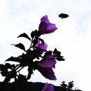 지혜의 샘 이미지