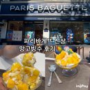 파리바게트 원내점 | 파리바게뜨에서 나온 신상빙수 "망고빙수" 후기