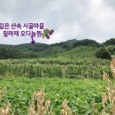 산골통상
