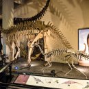 고성공룡나라(대전)휴게소 이미지