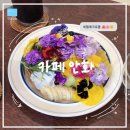 [경남/남해] 남해 감성카페 안화 후기🌧️ 비 와도 예쁜 꽃 크로플 맛집