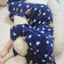 임산부필수템 바디필로우 해피테일즈 실사용 솔직후기