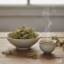 내 몸을 살리는 약초이야기 & 약선음식 | 삼백초 효능 5가지 및 제대로 먹는법 정리