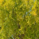 세븐일레븐 종로창성점 이미지