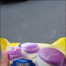 본젤라또분식