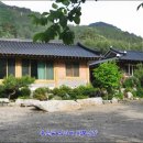 용소골민박 Daum카페