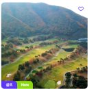 (주)비전회원권거래소