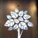 국수나무 광주상무점 이미지