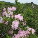 플루트 1:1 개인레슨 이미지