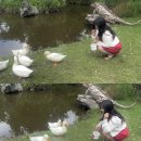 서진애드 이미지