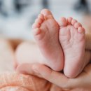 골드키즈 이미지