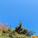 상석목장 이미지