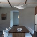 스테이 선명 이미지